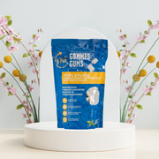 X-PUR Gums 100% Xylitol (Peppermint - Bags) - Oral Science Boutique