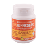 X-PUR Gums 100% Xylitol (Fruit - Small bottles) - Oral Science Boutique